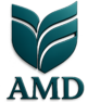 AMD Global 360 | Escuela de Comunicación y Customer Experience